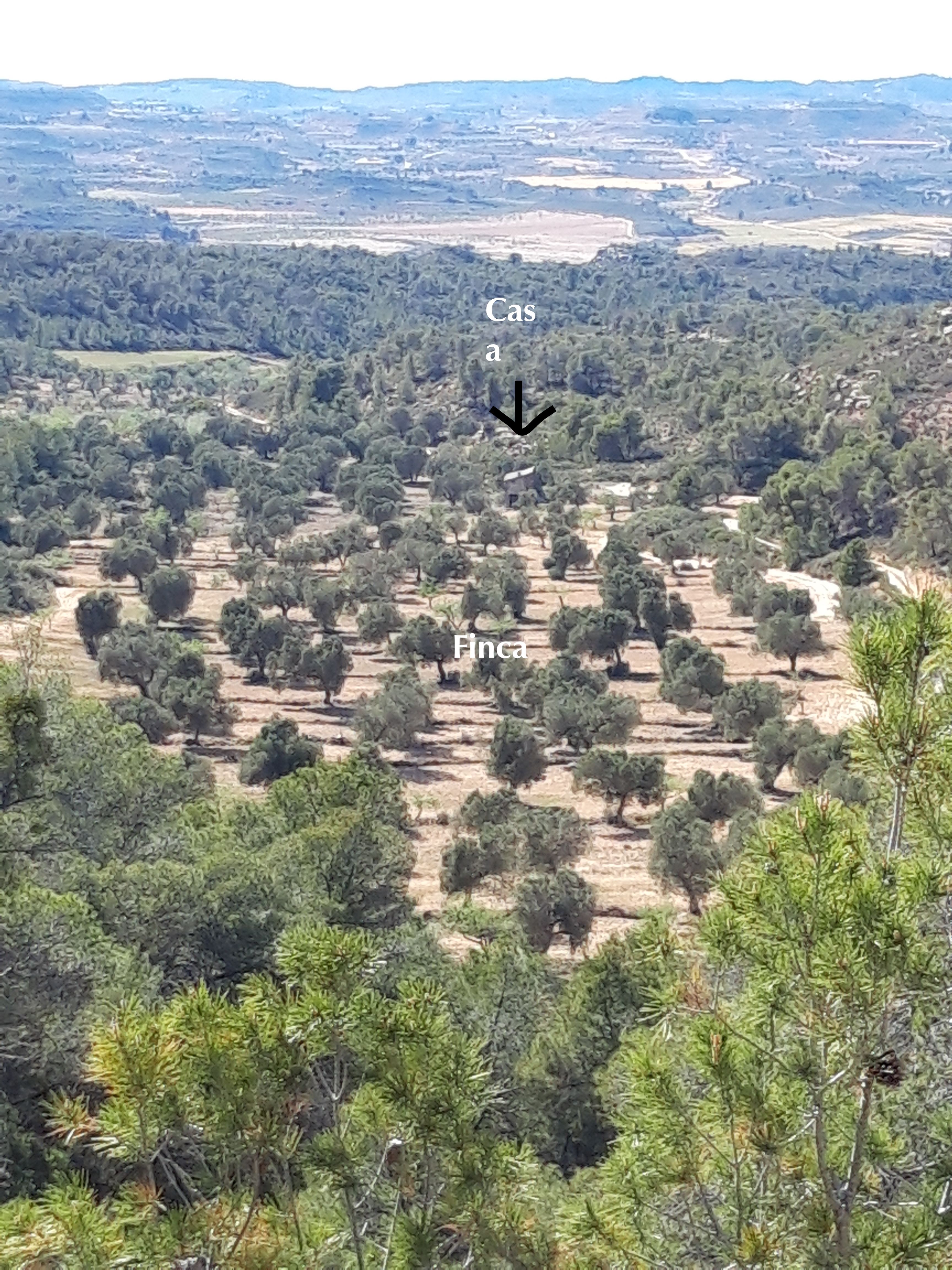 Country house for sale in Fabara