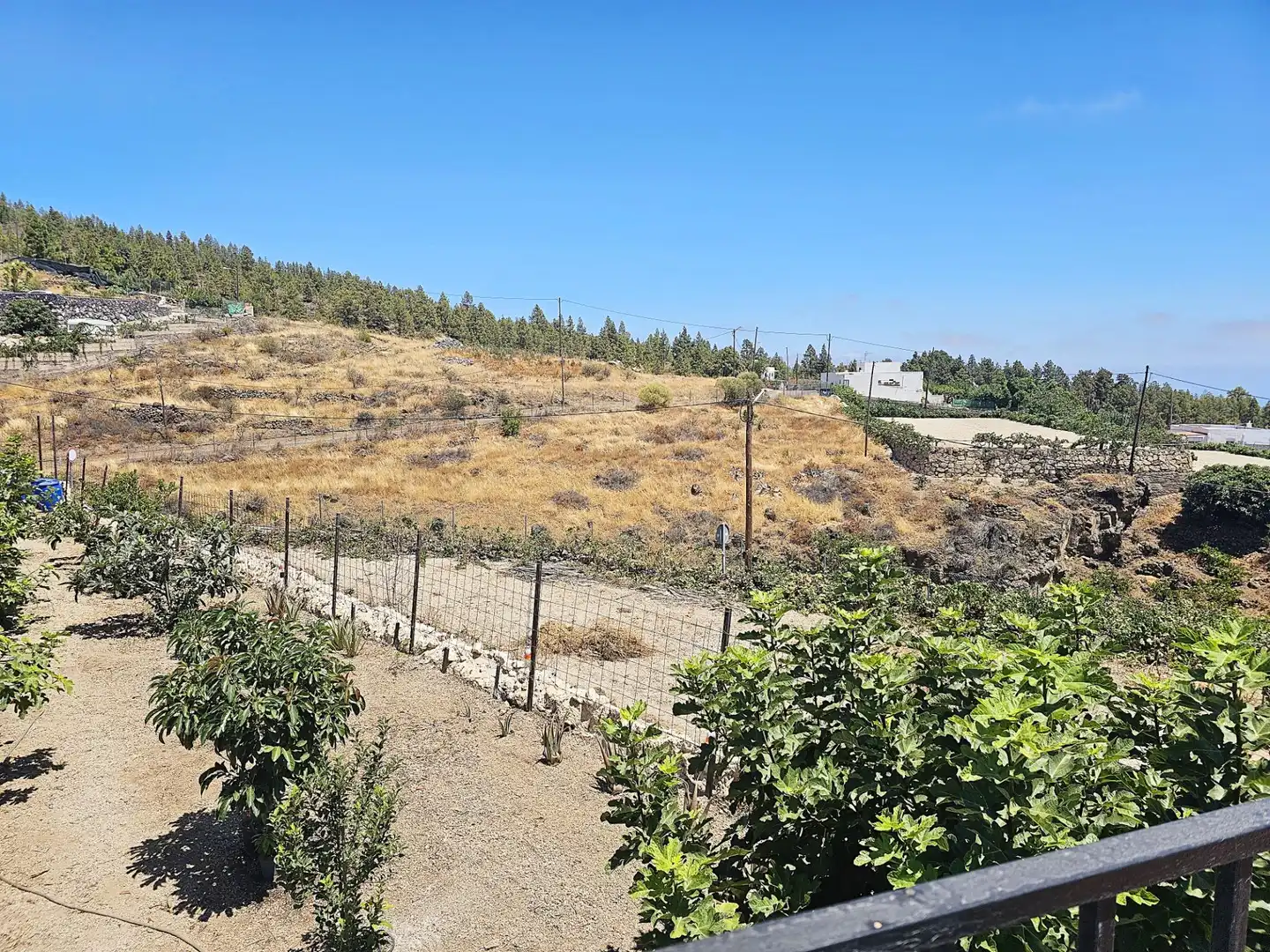 Finca rústica en venda en Granadilla de Abona