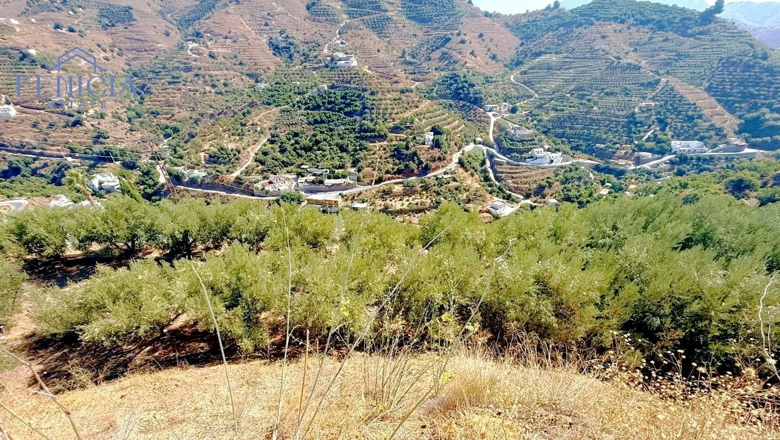 Vista exterior de Casa o chalet en venta en Almuñécar con Terraza, Trastero y Piscina