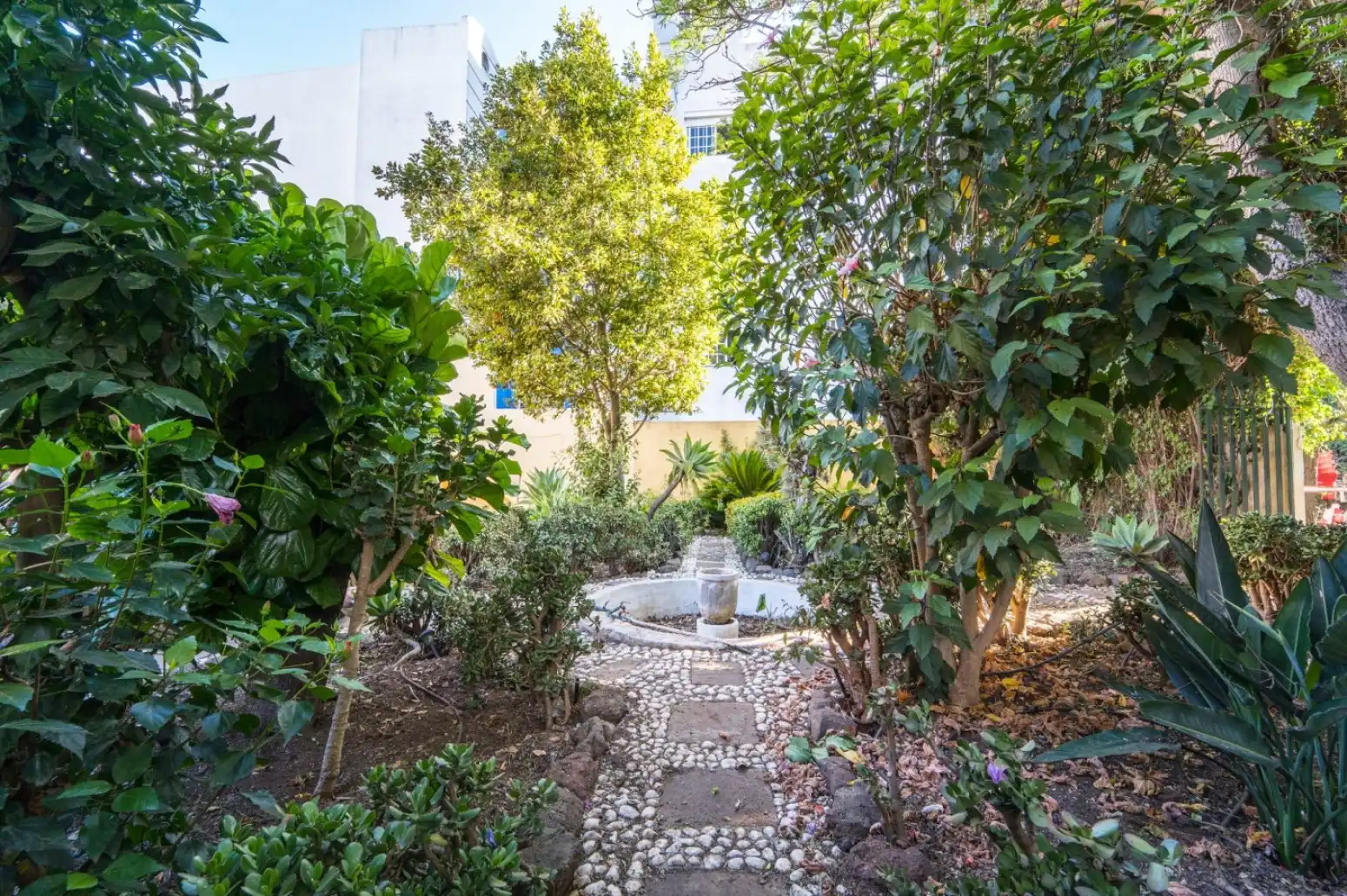 Houses for sale in San Cristóbal de La Laguna - Calle SAN JUAN, La Laguna