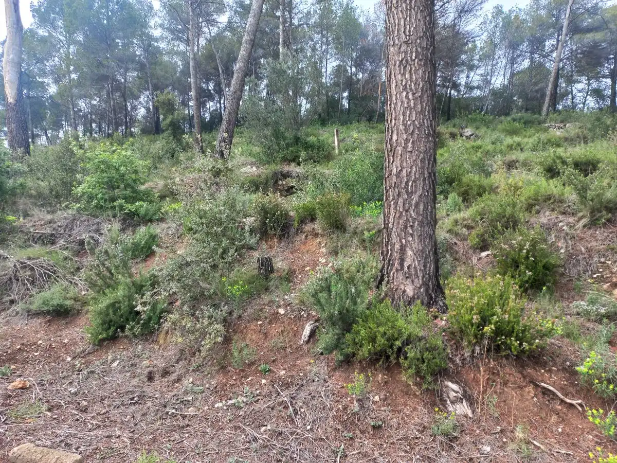 Lands and plots for sale in Bigues i Riells del Fai, imagen 3