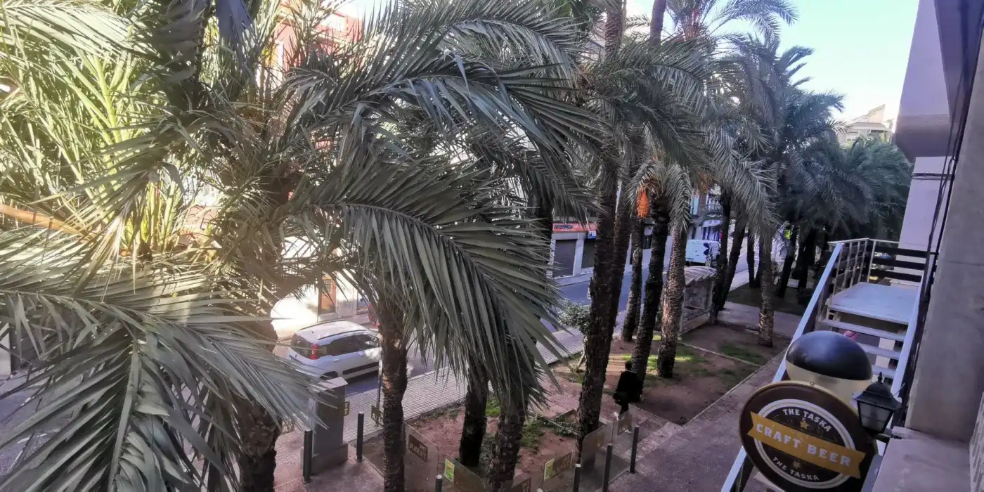Office space to rent in Elche ciudad, imagen 3