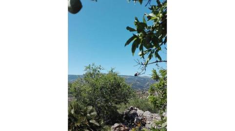 Photo 2 of Residential for sale in Casarabonela, Málaga