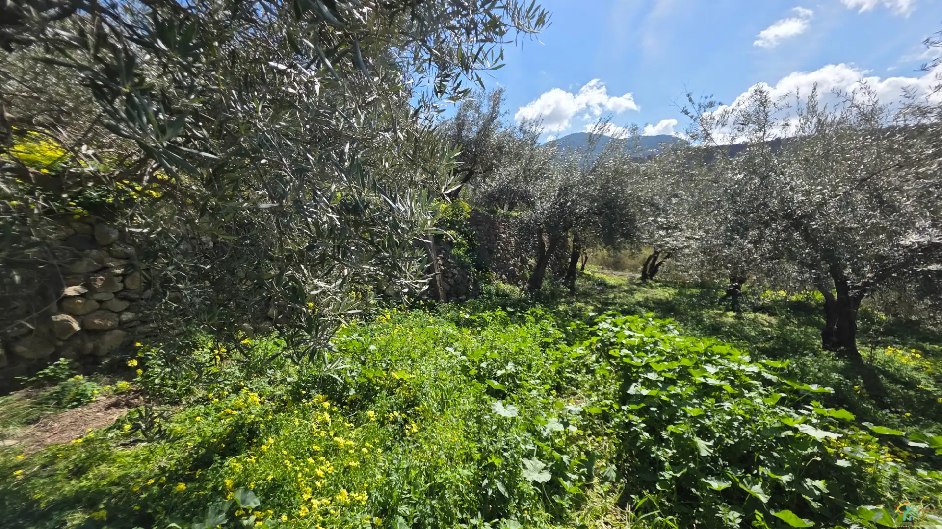 Finca rústica en venda en Canjáyar amb Moblat
