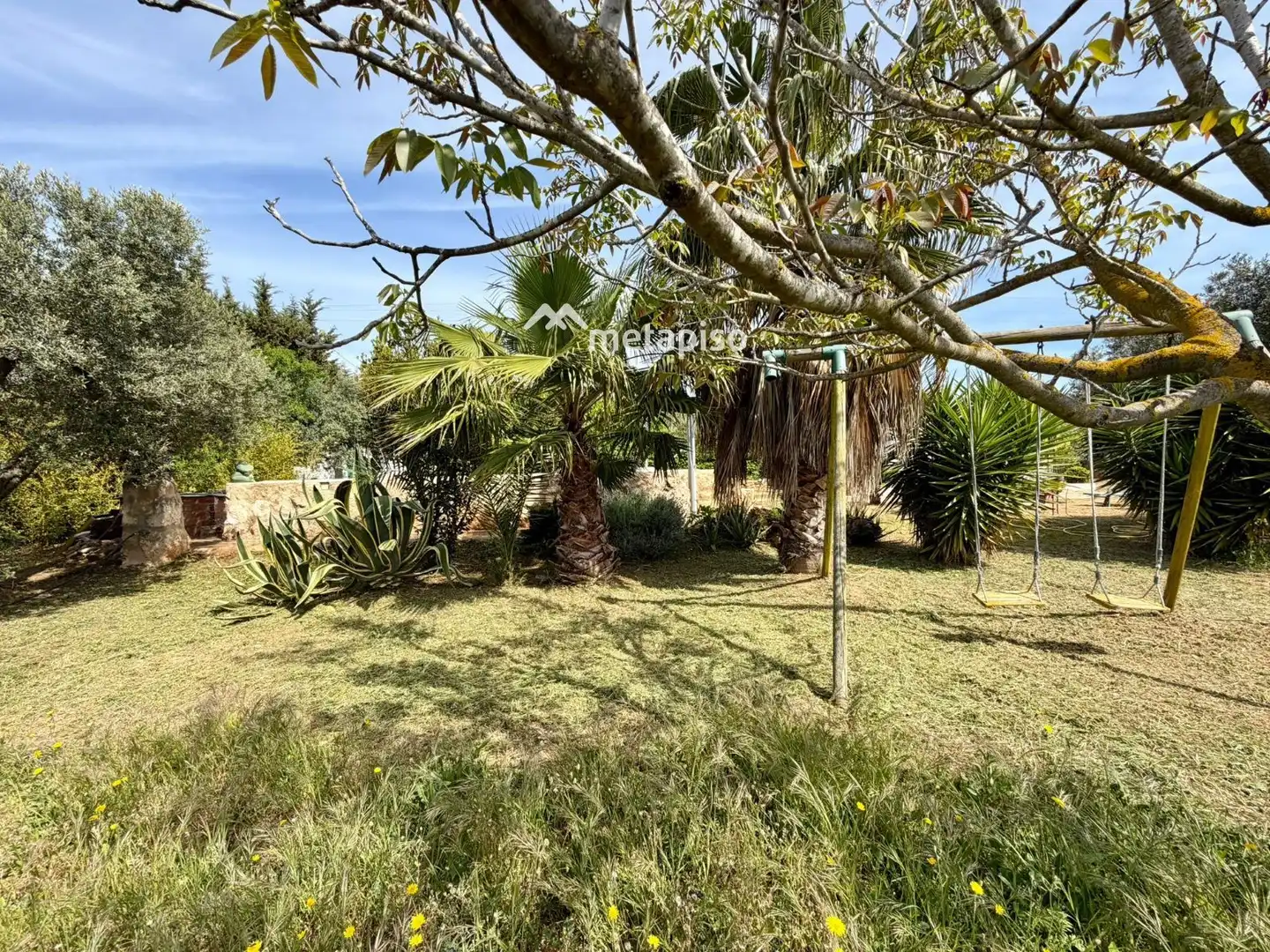 Terreno rustico in vendita a Santa Oliva, imagen 6