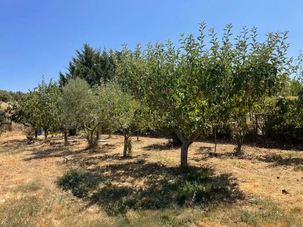 Terreno en venta en Pueyo / Puiu