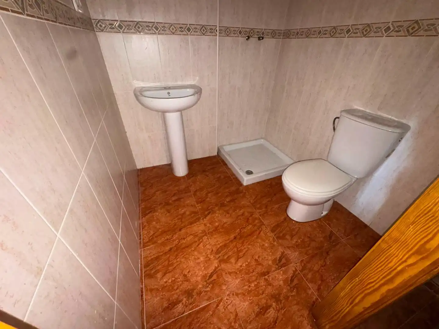 Bathroom of Detached homes for sale in Torre-Pacheco