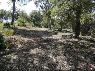 Terreni e lotti in vendita a Riera De La Massaneda