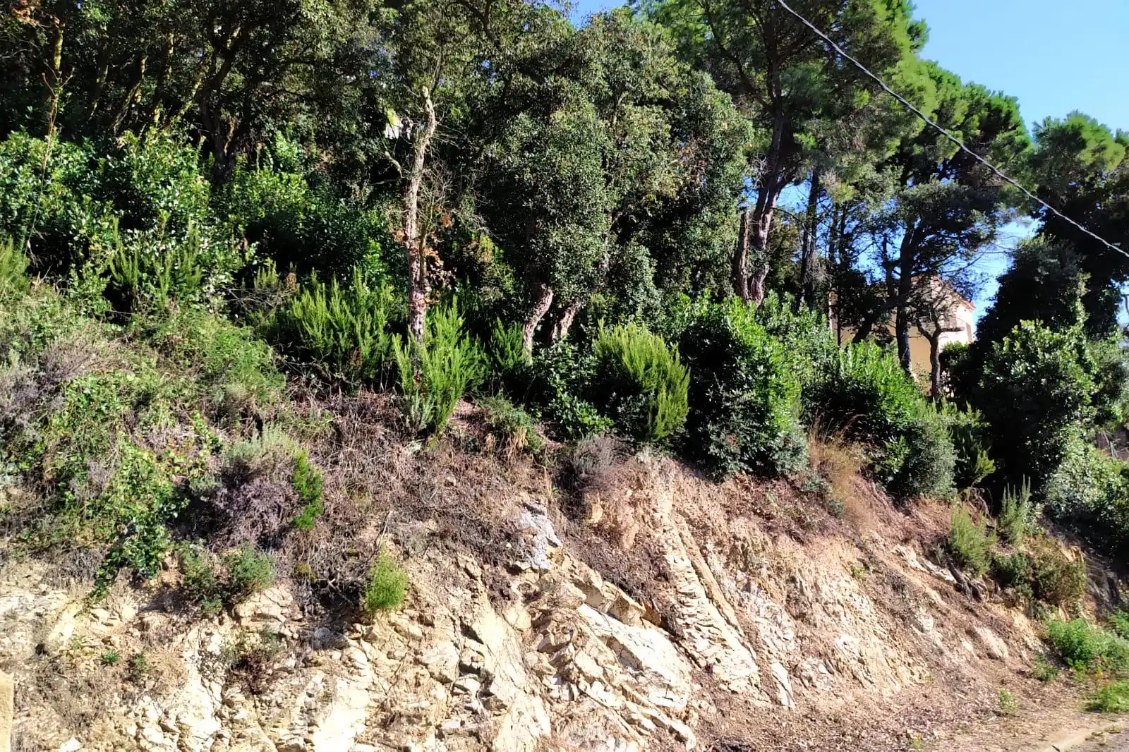 Terreno residencial en venta en Serra Brava, imagen 6