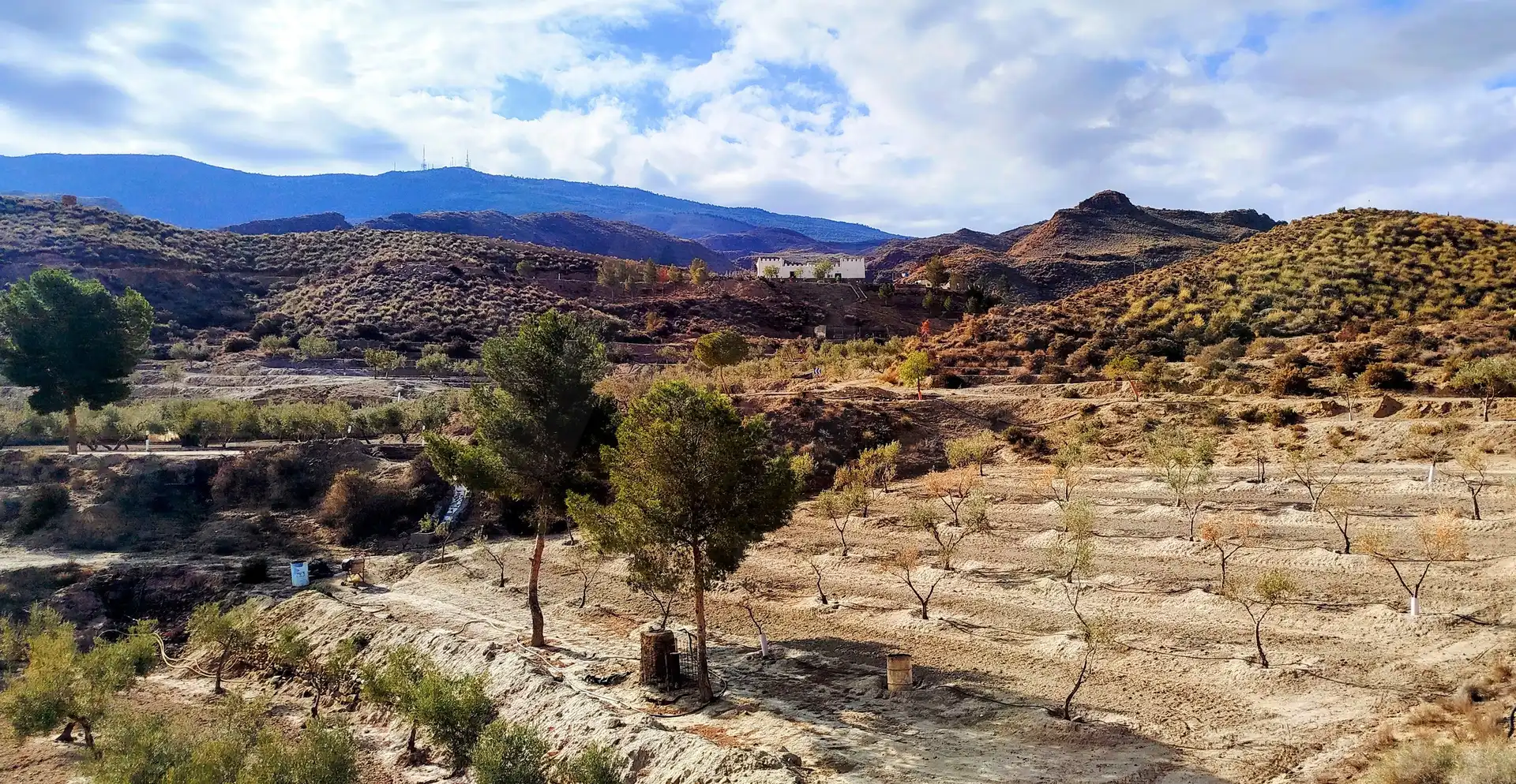 Casa con piscina en venta en Tabernas, imagen 36