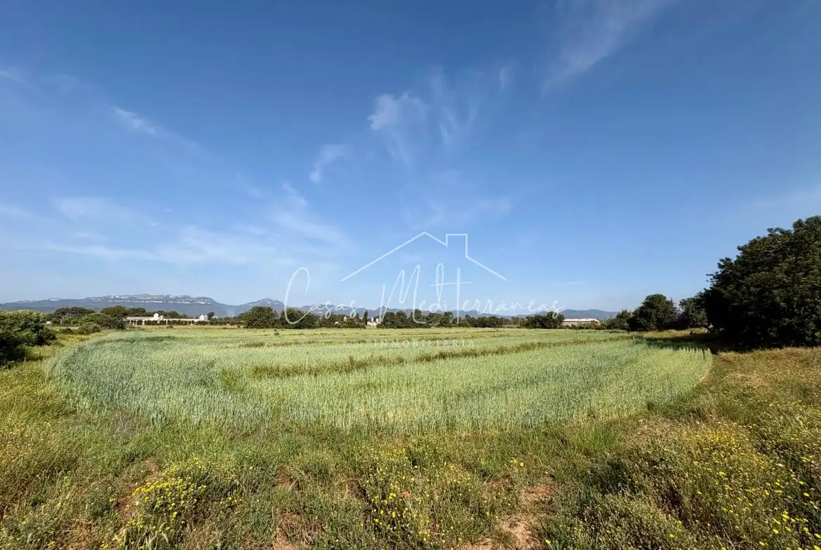 Terreny rústic en venda a Ardiaca - La Llosa, imagen 16