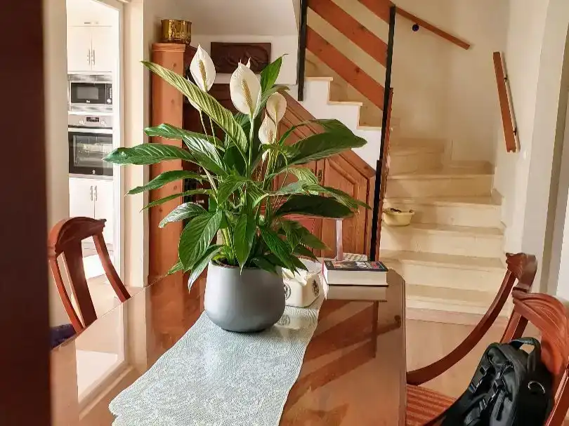 Casa adosada en venda en Mijas amb Aire condicionat, Piscina i Balcó