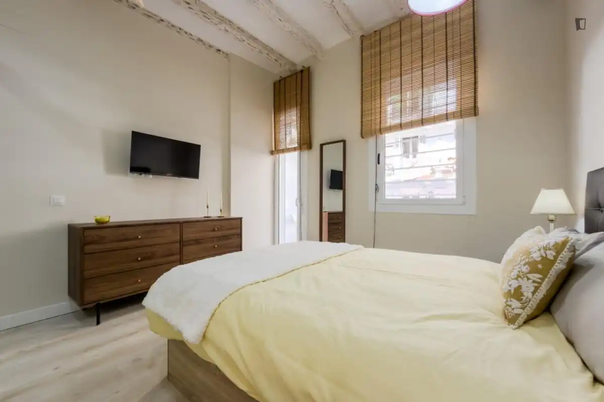 Apartments for rent in El Raval