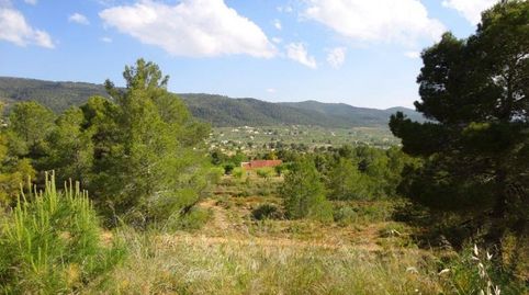 16.000M2 EN IBI, POSIBILIDAD DE CONSTRUIR, imagen 2