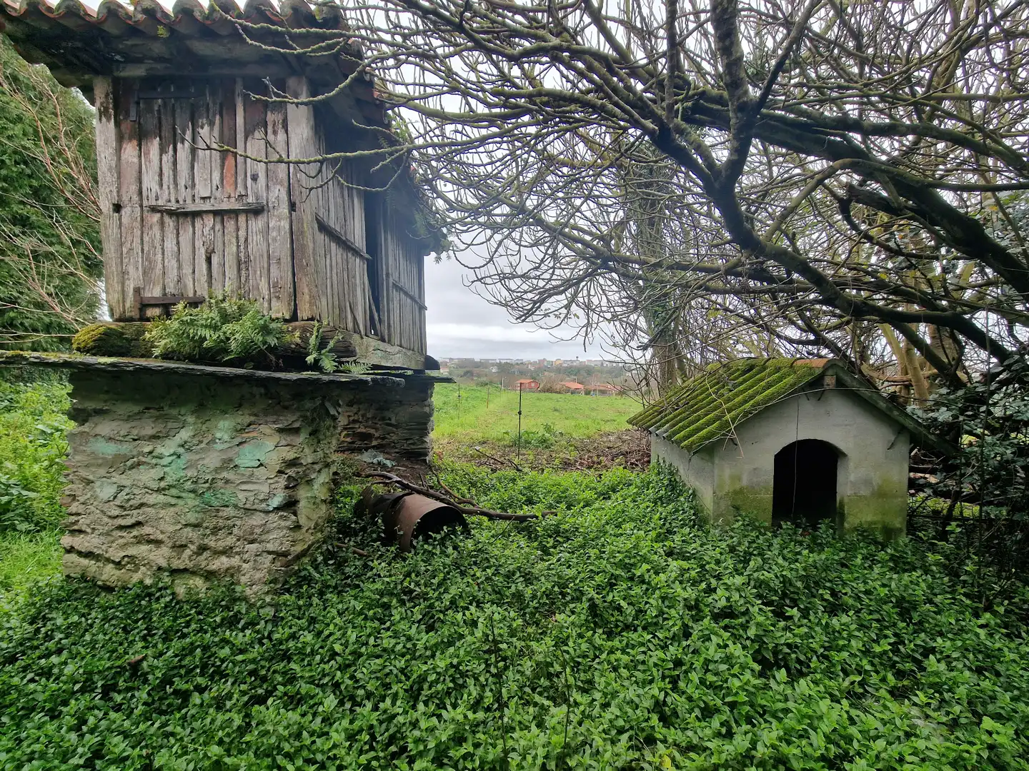 Maison avec jardin à vendre à Aldea Pazos, imagen 13