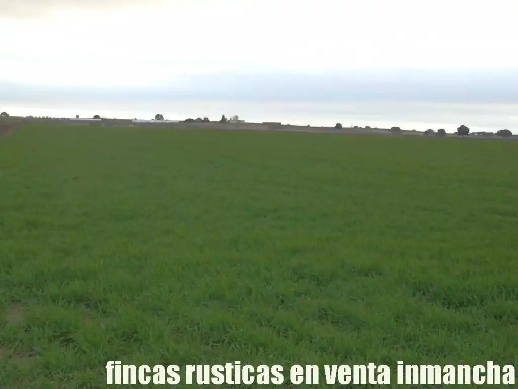 Terreno rústico en venta en Daimiel, imagen 12