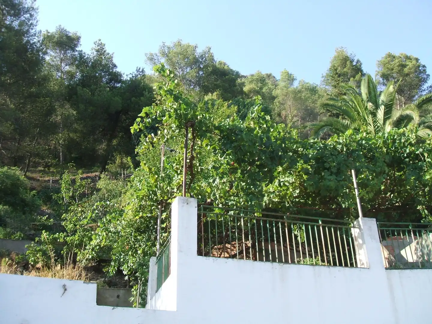 Jardí de Residencial en venda en Vallirana