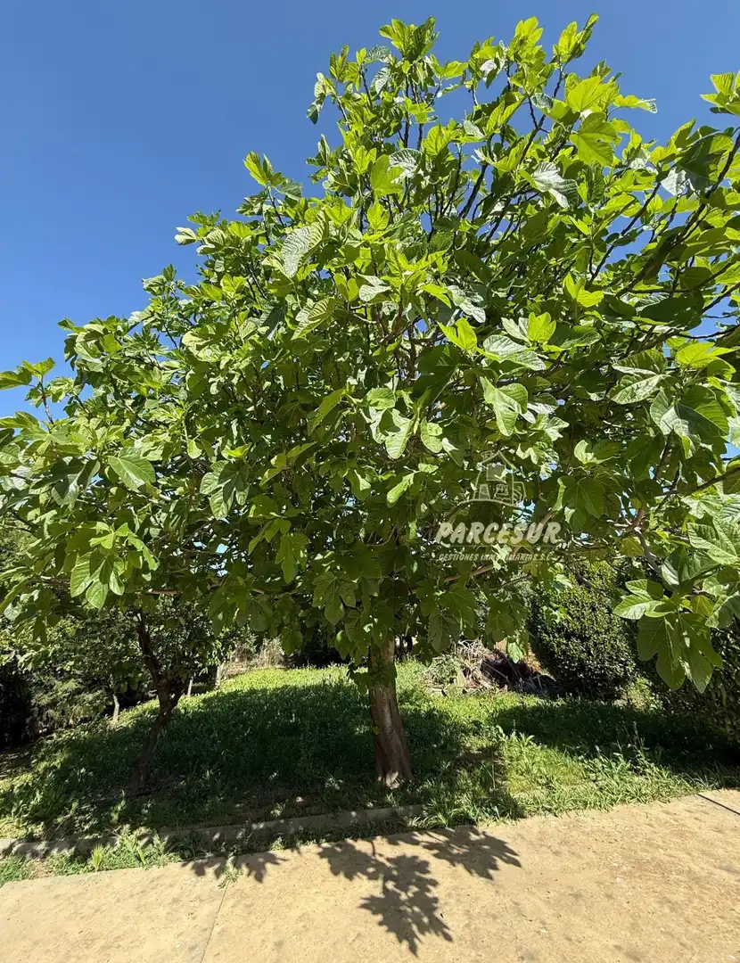 Maison rustique à vendre à Periurbano Oeste - Sierra, imagen 36