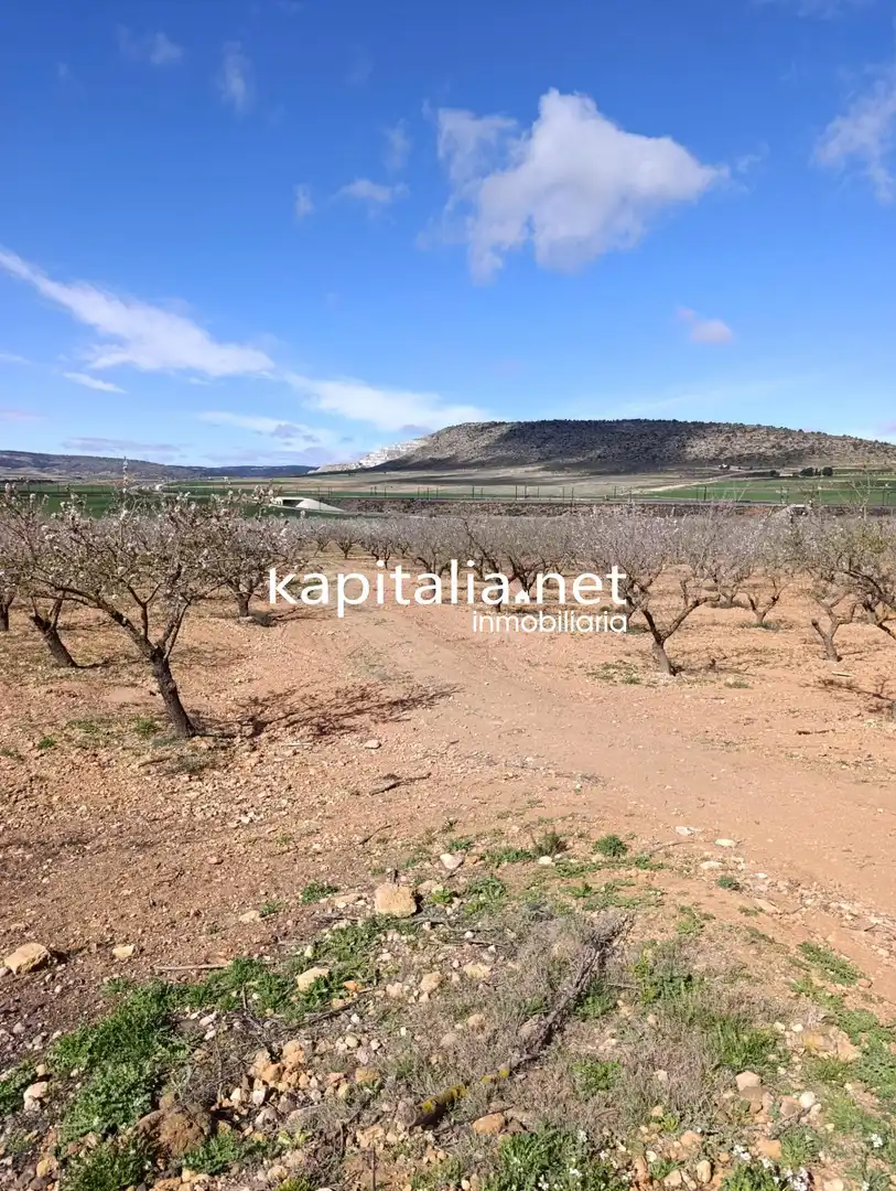 Rural land for sale in Las Cruces, imagen 4