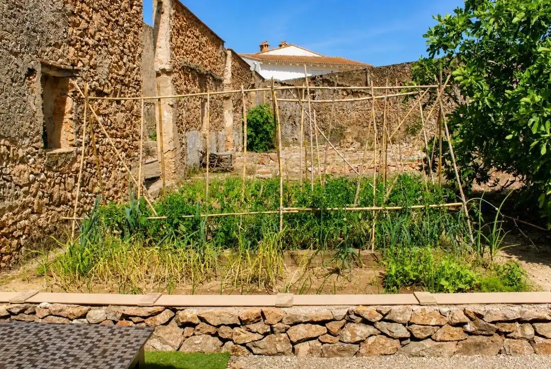 Jardín de Finca rústica en venta en Oliva