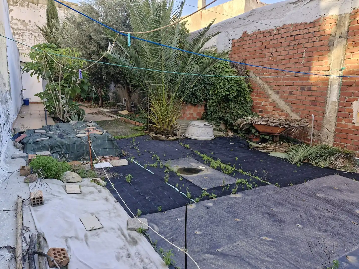 Jardí de Residencial en venda en La Línea de la Concepción