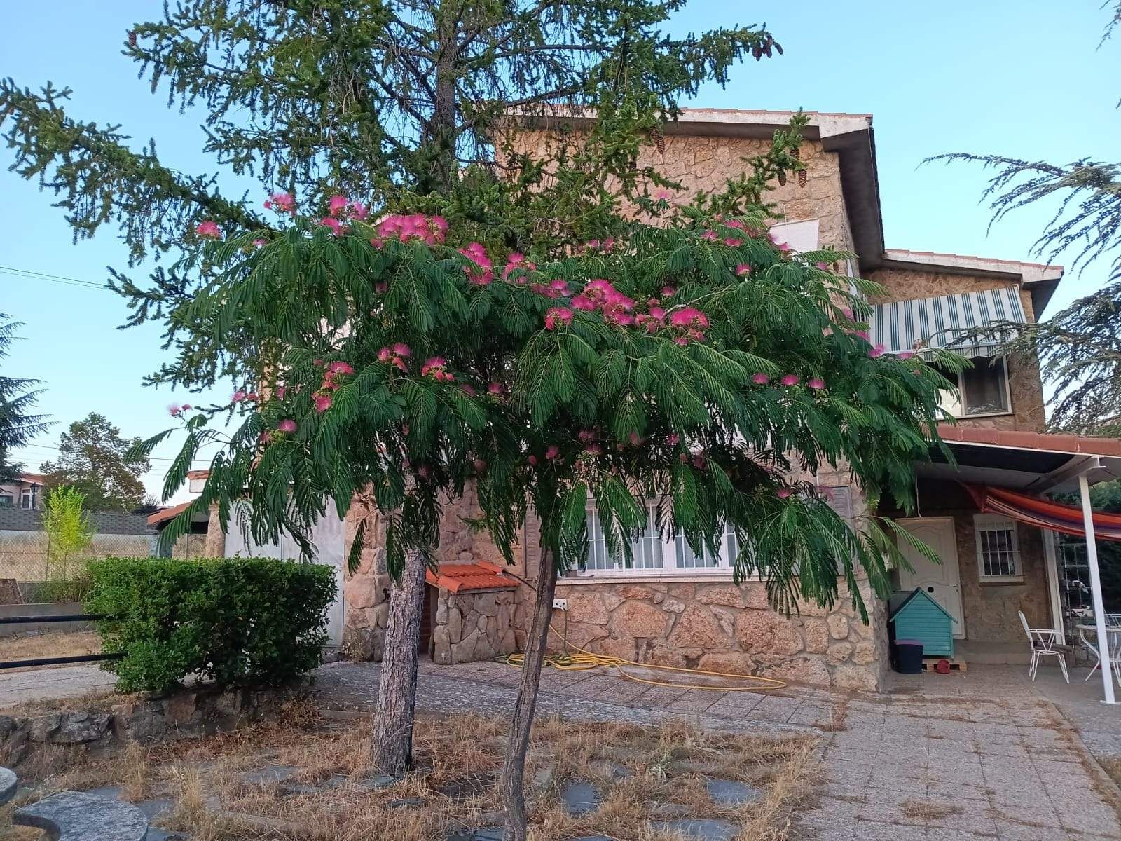 Jardí de Casa o xalet en venda en Santa María de la Alameda amb Calefacció, Jardí privat i Piscina
