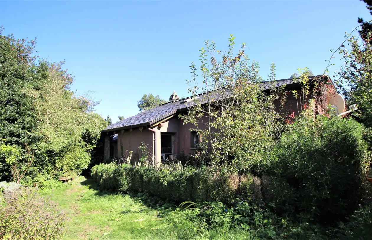 Vista exterior de Casa o chalet en venta en A Pontenova   con Jardín privado