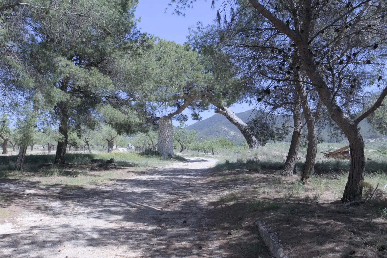 Casa o chalet en venta en PT SERRATELLA, Jijona / Xixona