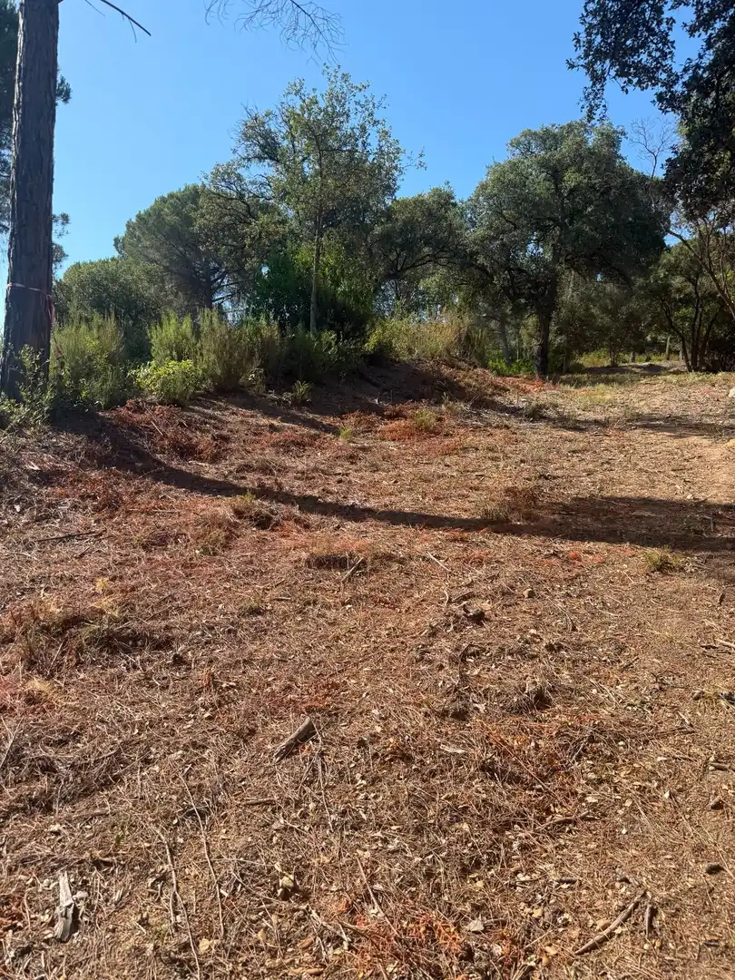 Terreni e lotti in vendita a Sant Celoni, imagen 2
