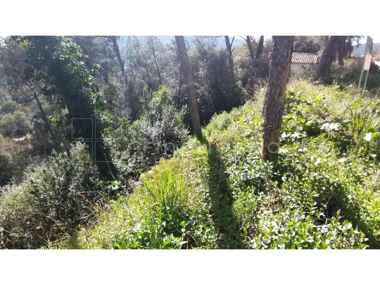 Terreno residencial en venta en Paseo Estació de Torreblanca, imagen 8