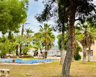 Jardí de Casa o xalet en venda en San Vicente del Raspeig / Sant Vicent del Raspeig amb Calefacció, Jardí privat i Terrassa