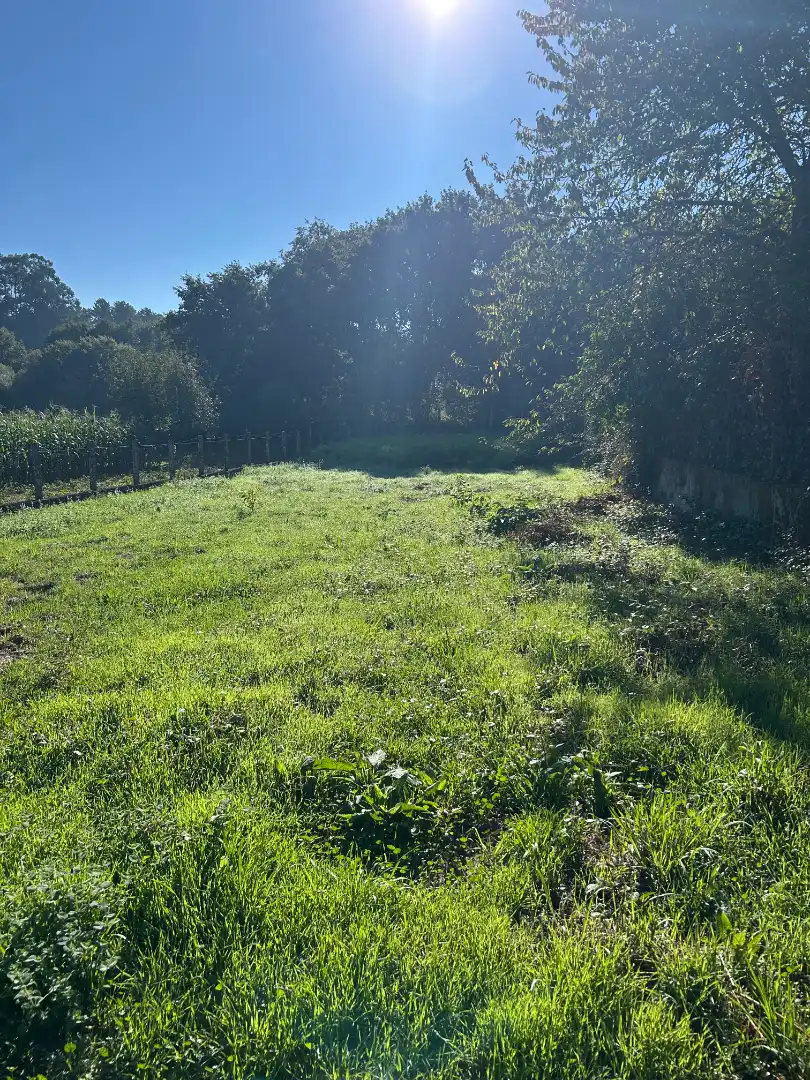 Residential land for sale in Rua Arcos 61
