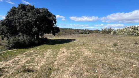 Foto 5 de Finca rústica en venda a de Boadilla a Villaviciosa, Castillo Campodón, Villaviciosa de Odón