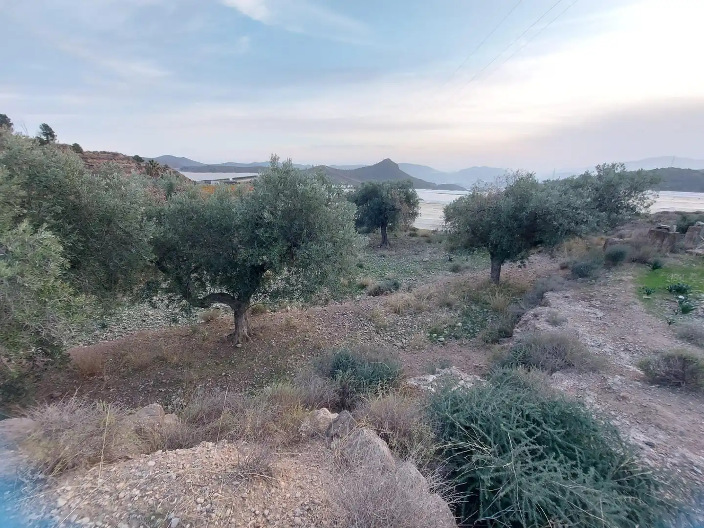 Terreno residencial en venta en Berja, imagen 5