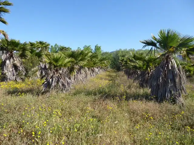 Villa con terrazza in vendita a Xerta, imagen 44