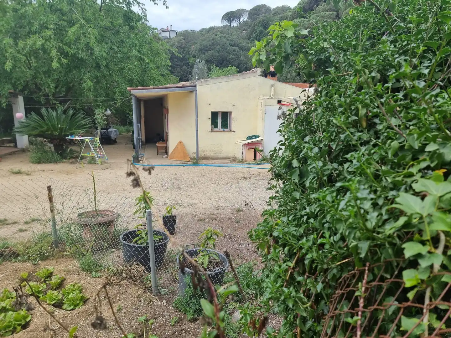 Casa con piscina en venta en Avinguda Can Massuet