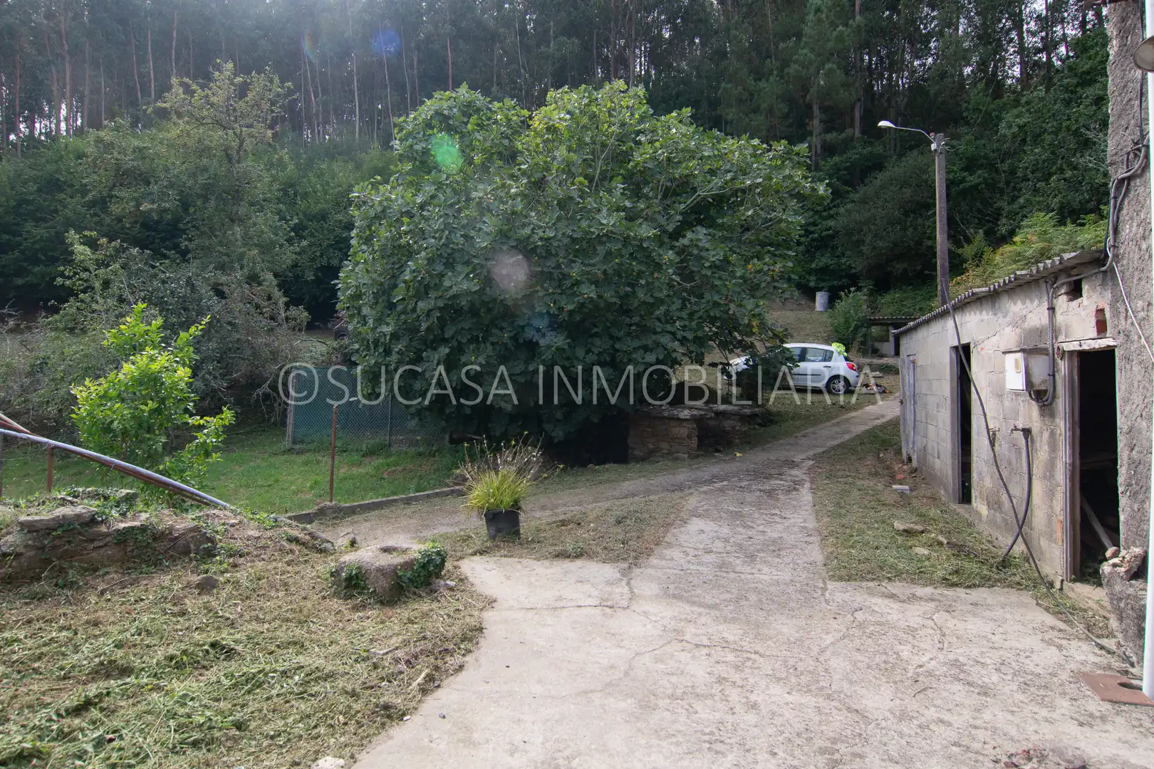 Maison avec jardin à vendre à Lugar Cavancas, imagen 15