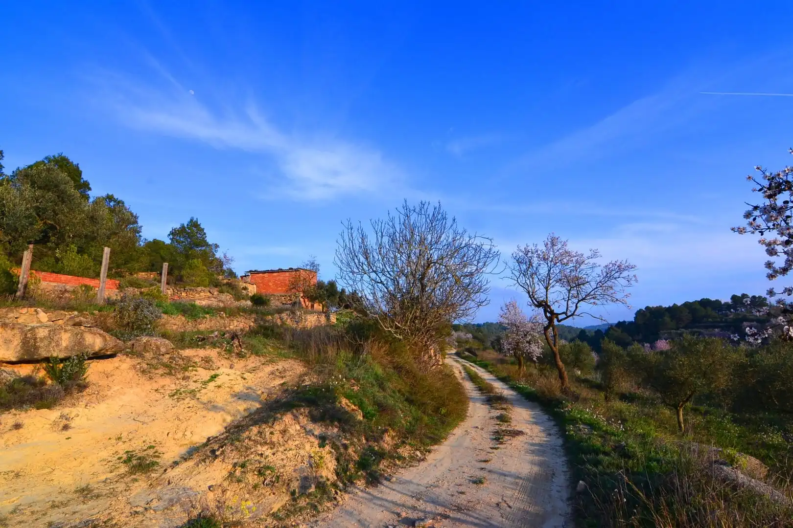 Rural land for sale in Corbera d'Ebre, imagen 12