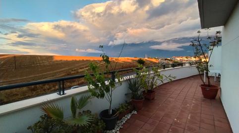 Foto 5 de Àtic en venda a Burguillos, Sevilla