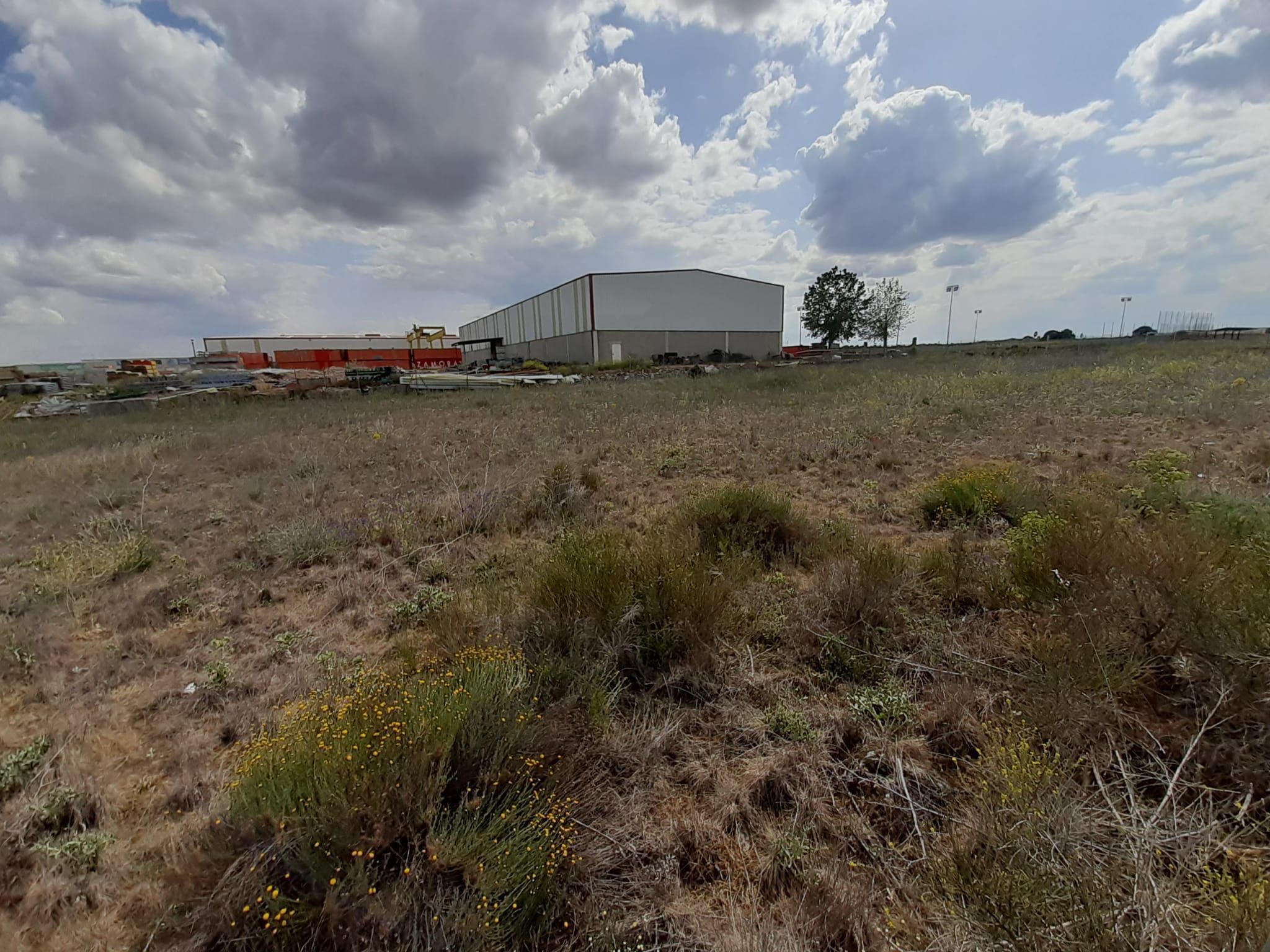 Industrial land for sale in Zamora Capital 