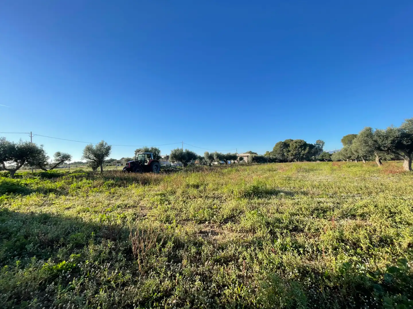 Grundstücke zum Verkauf in Cambrils