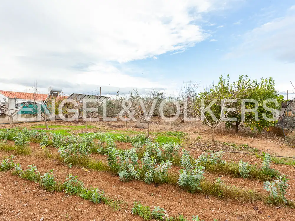 Terrain rustique à vendre à Santa Bárbara, imagen 39