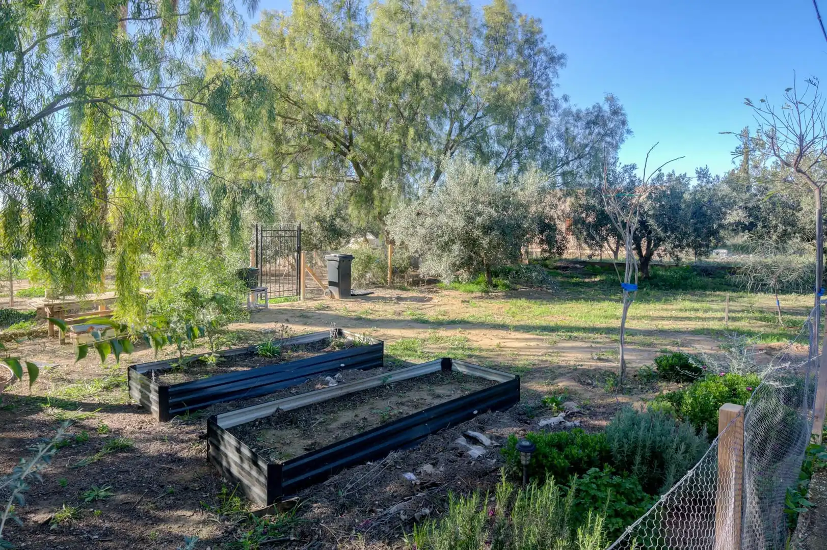 Jardín de Casa o chalet en venta en Elche / Elx con Calefacción, Jardín privado y Terraza