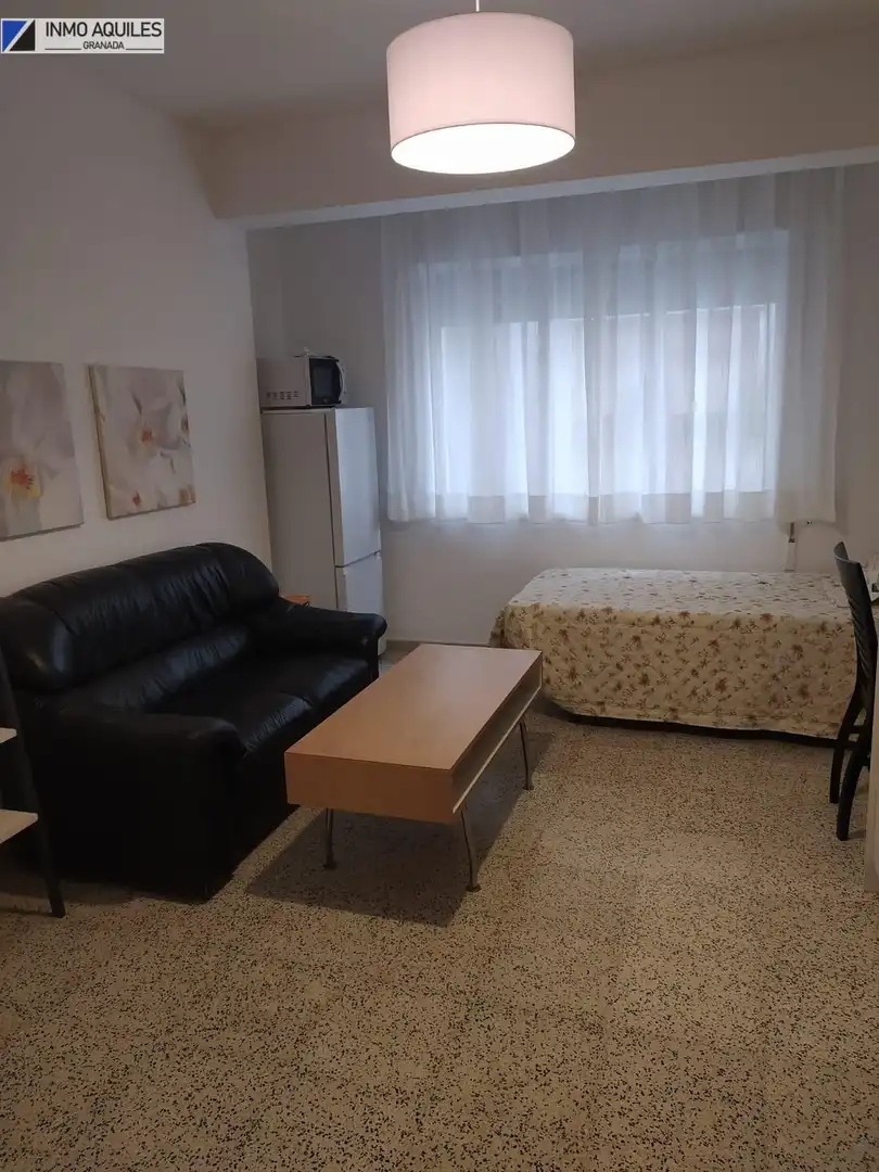Living room of Study for rent in Granada