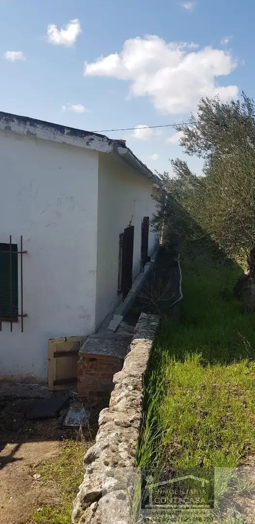 Vista exterior de Finca rústica en venda en Loranca de Tajuña