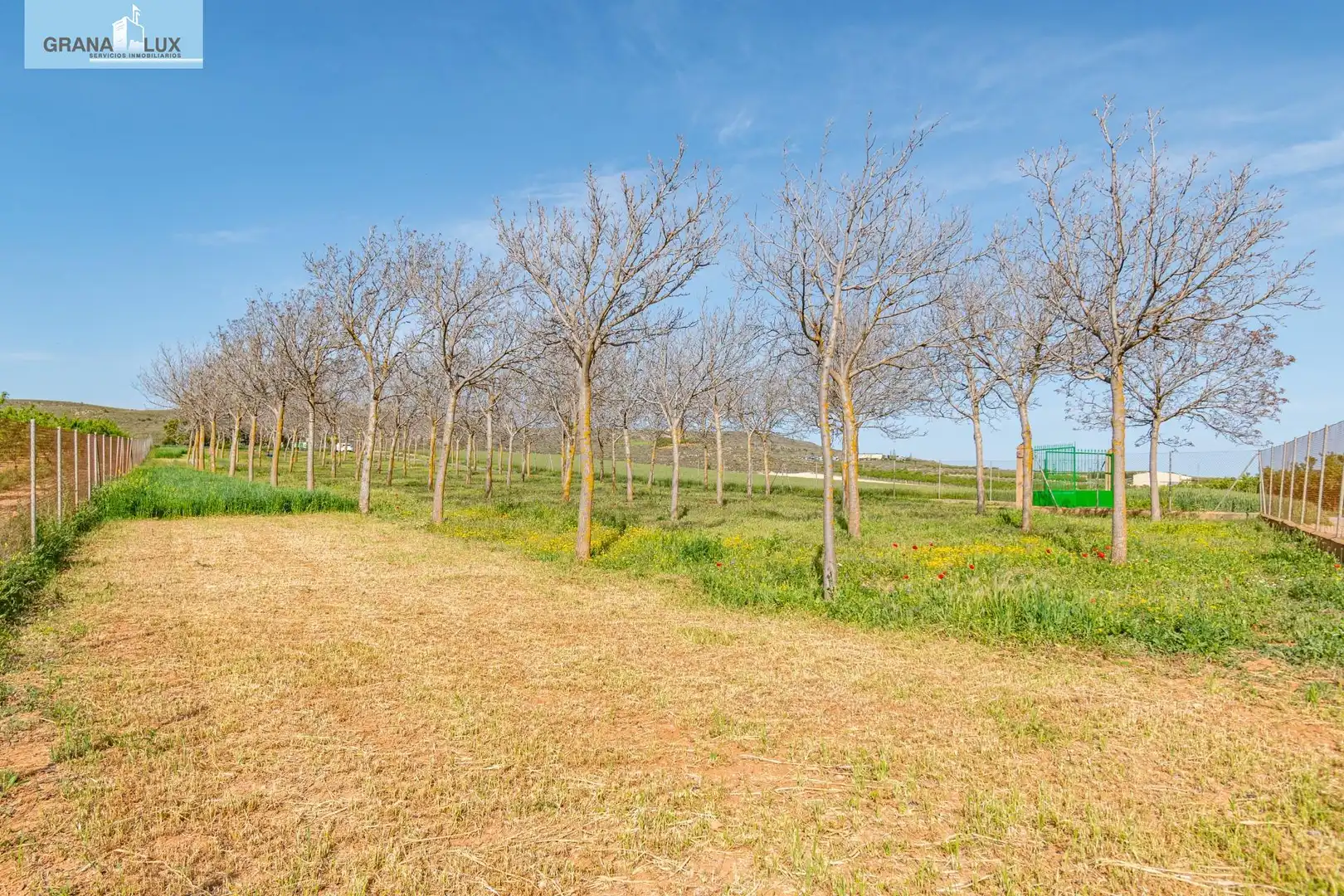 Rural land for sale in 18640, imagen 15