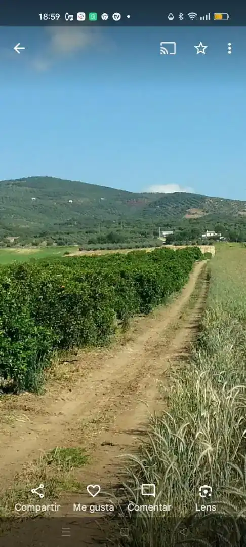 Finca rústica en venda en Peñaflor amb Aire condicionat, Jardí privat i Traster