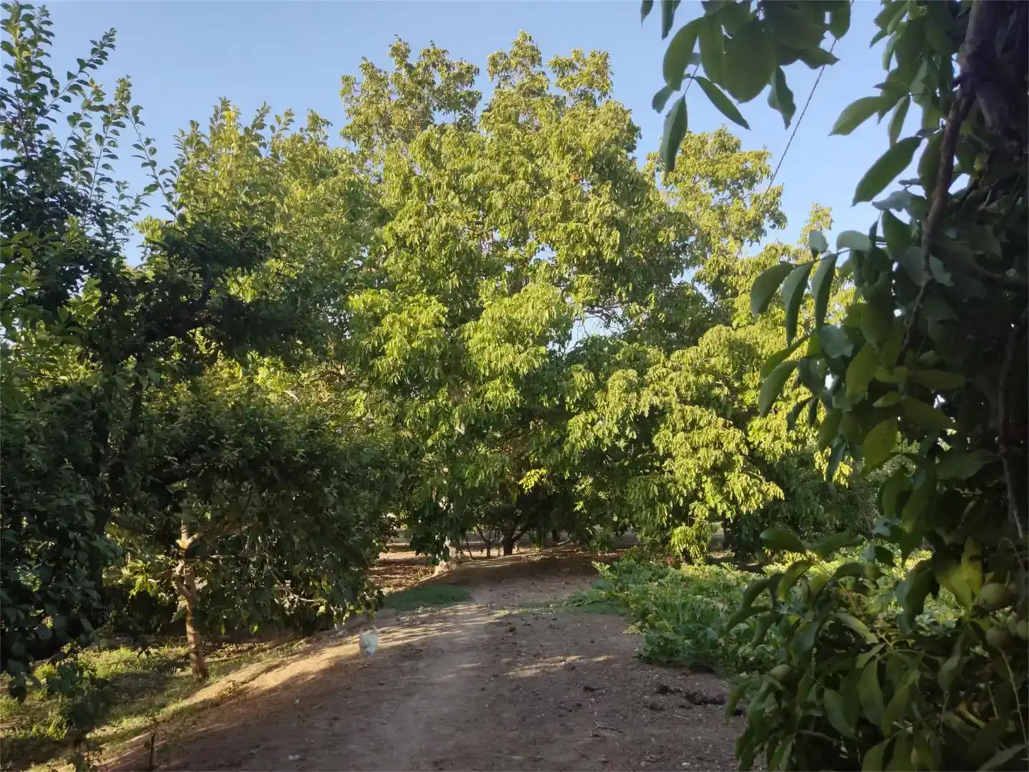 Grundstücke zum Verkauf in Ronda