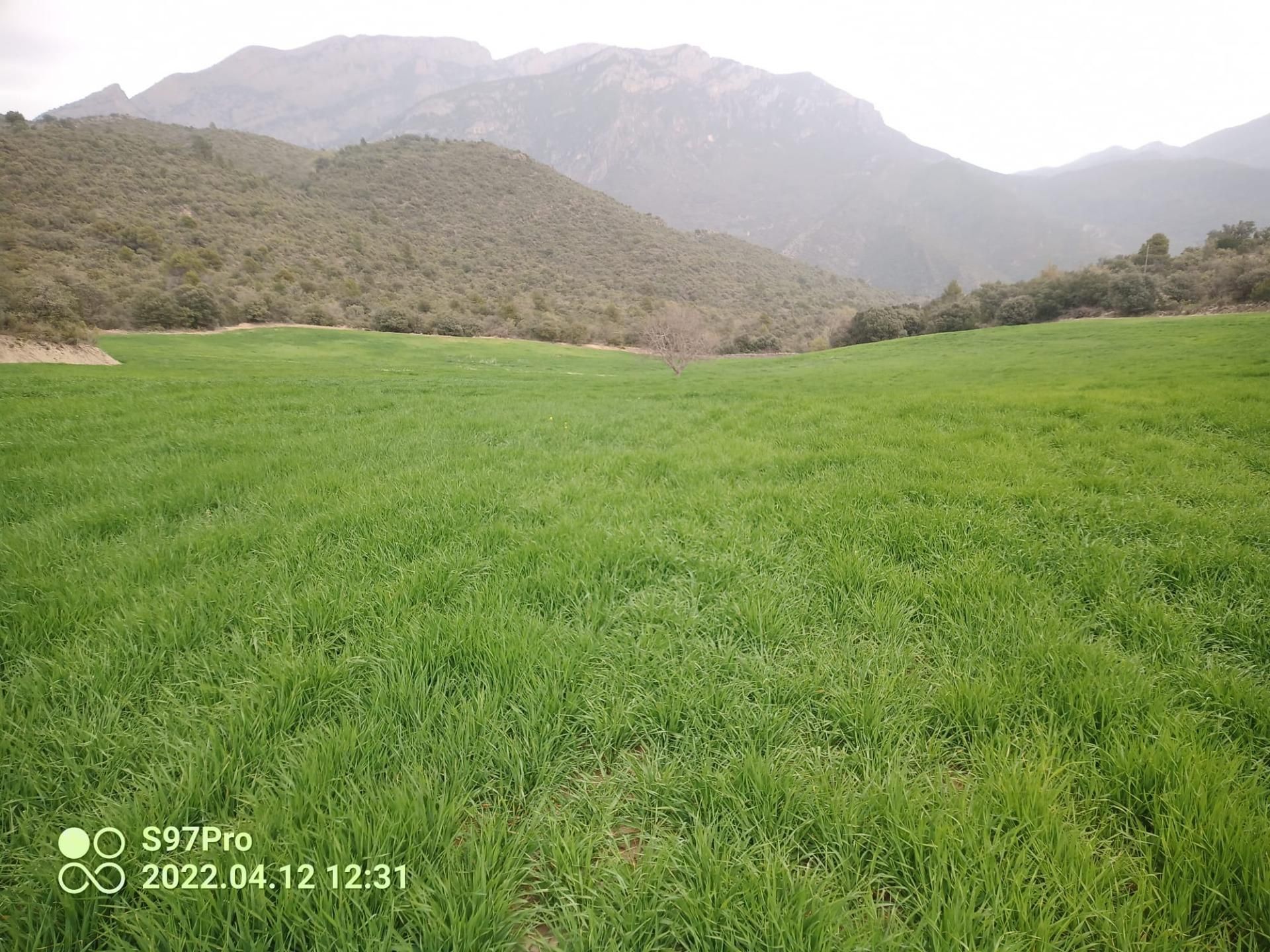 Finca rústica en venda en Àger