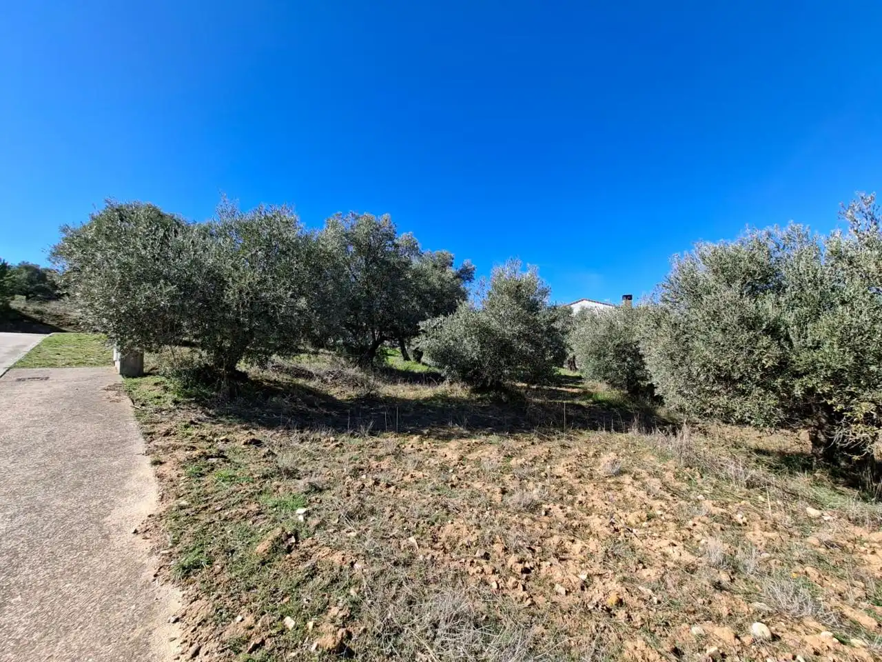 Lands and plots for sale in Calle Río Tajuña 1676, imagen 23